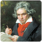 Istituto Comprensivo L.van Beethoven di Casaluce - (CE)